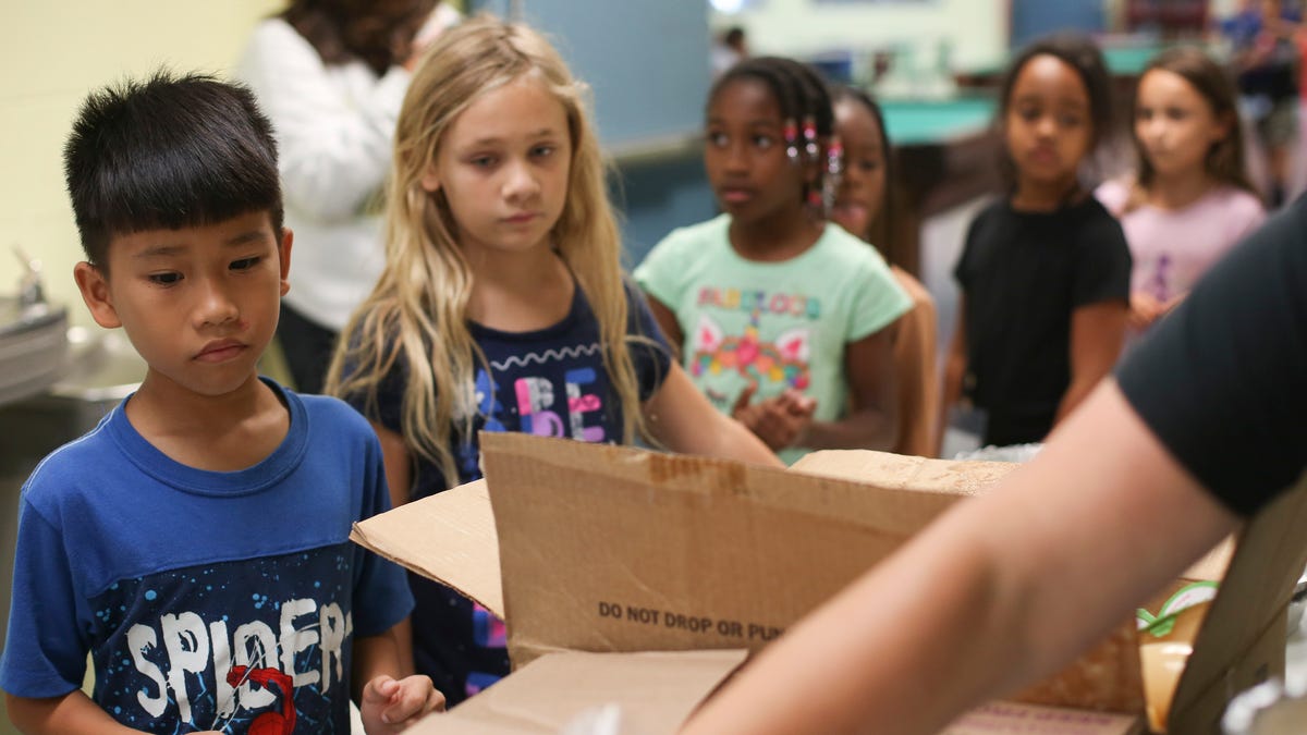 Featured image for "States Divided: Summer Food Programs and Children's Needs"