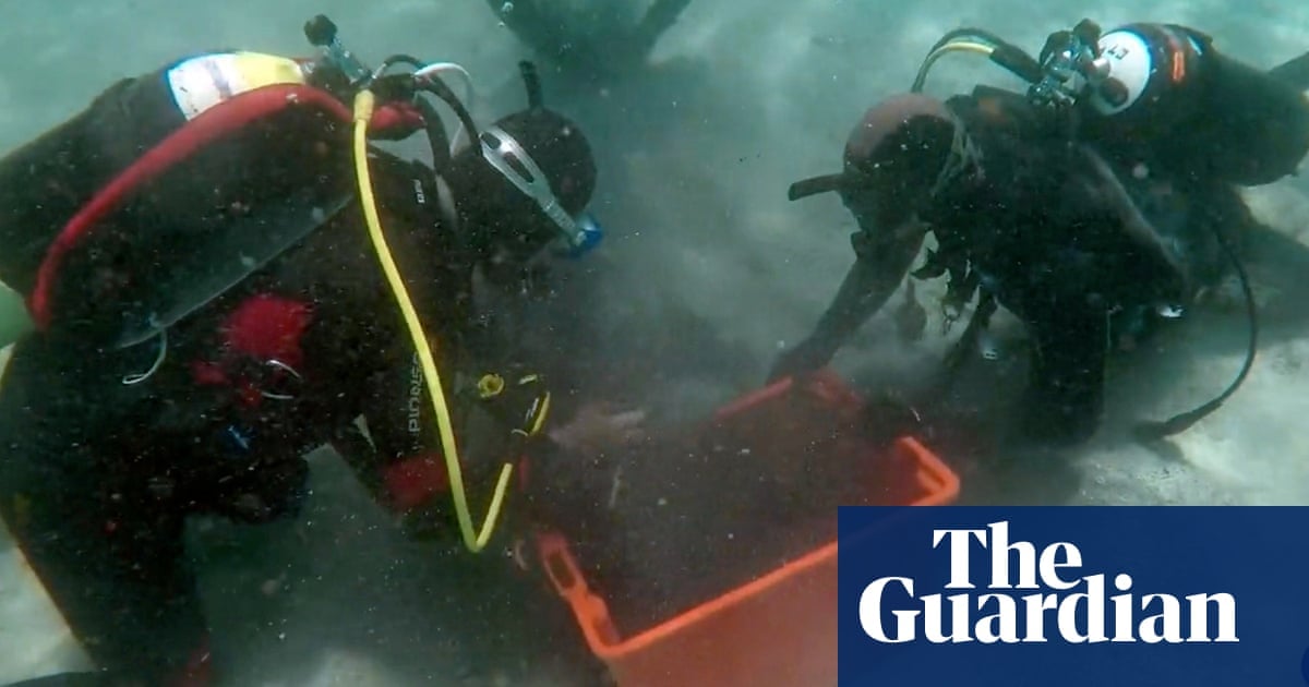 Featured image for "Massive Trove of Ancient Roman Coins Unearthed off Sardinian Coast"