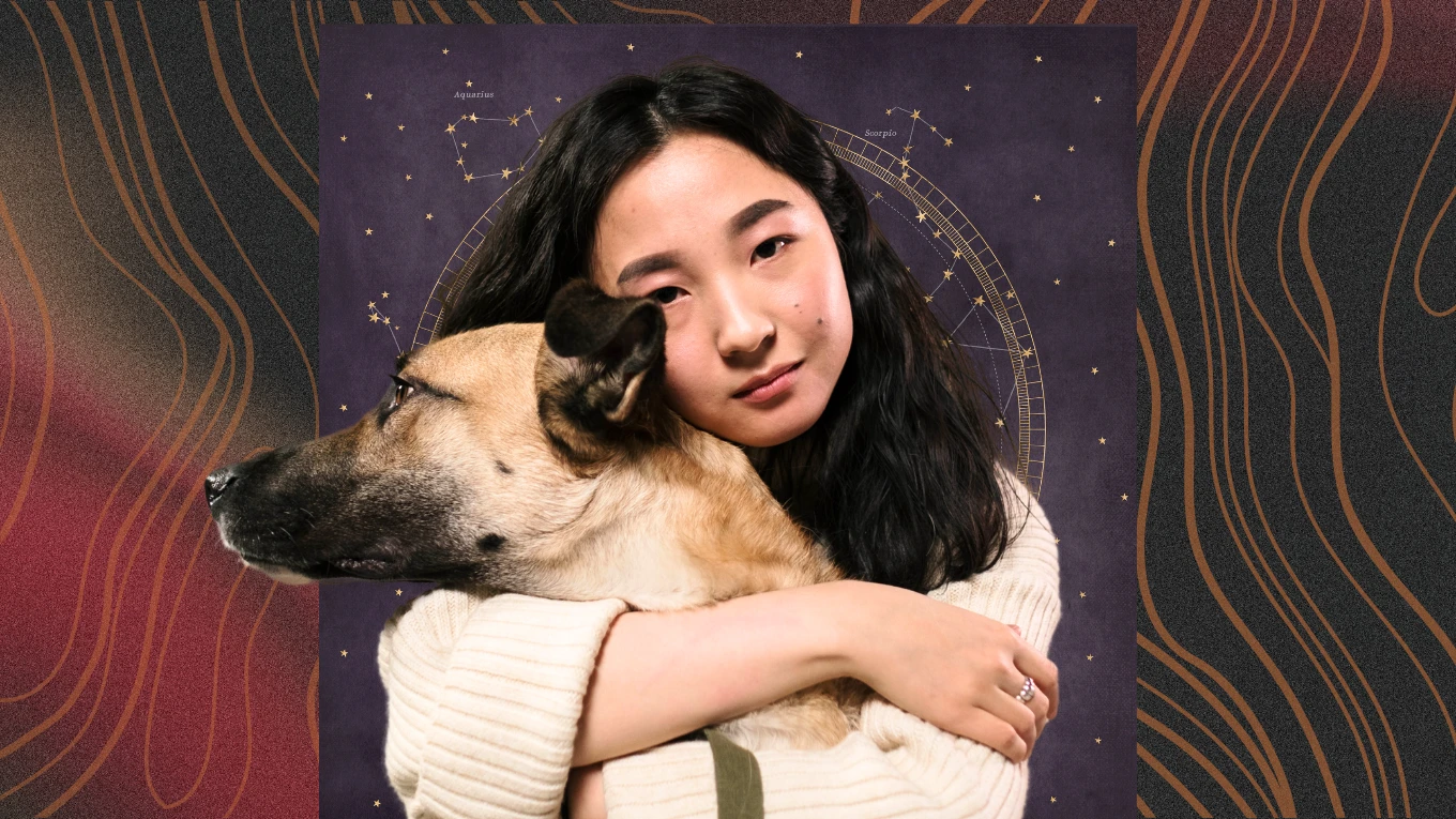 November 26, 2024: Zodiac Signs Face Challenges and Luck