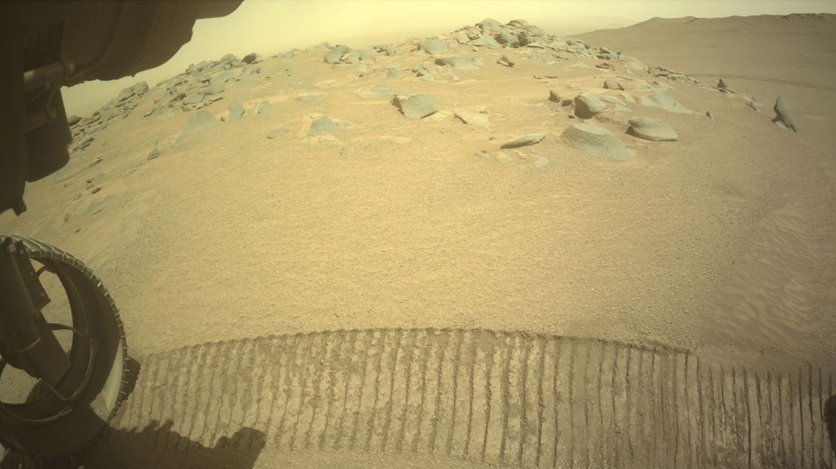 Perseverance Explores Scenic Mars: New Discoveries at Pico Turquino
