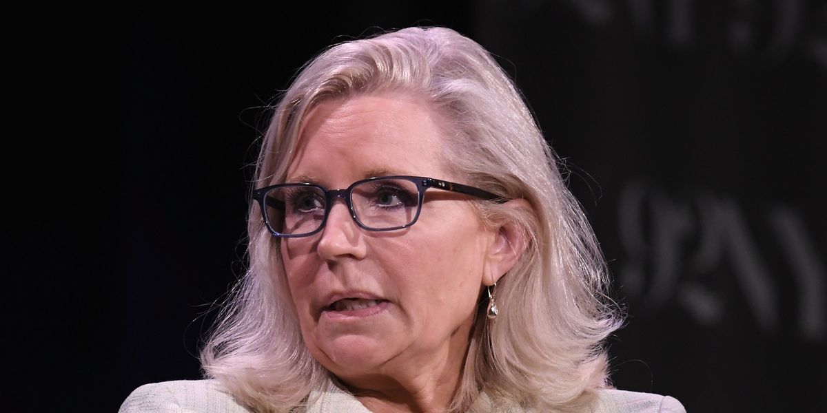 Liz Cheney Warns of 'Dangerous' Mike Johnson's Future