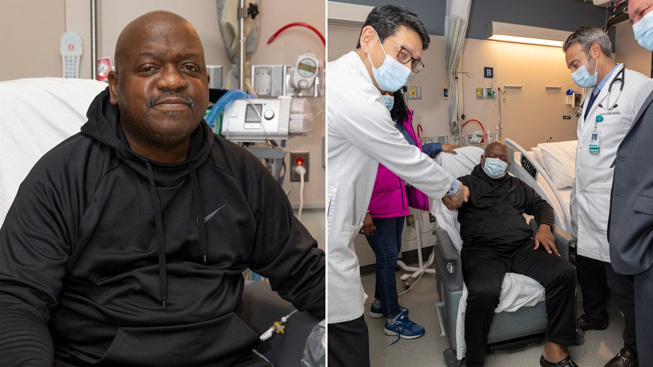 Featured image for "First Successful Pig Kidney Transplant Recipient Discharged from Massachusetts Hospital"