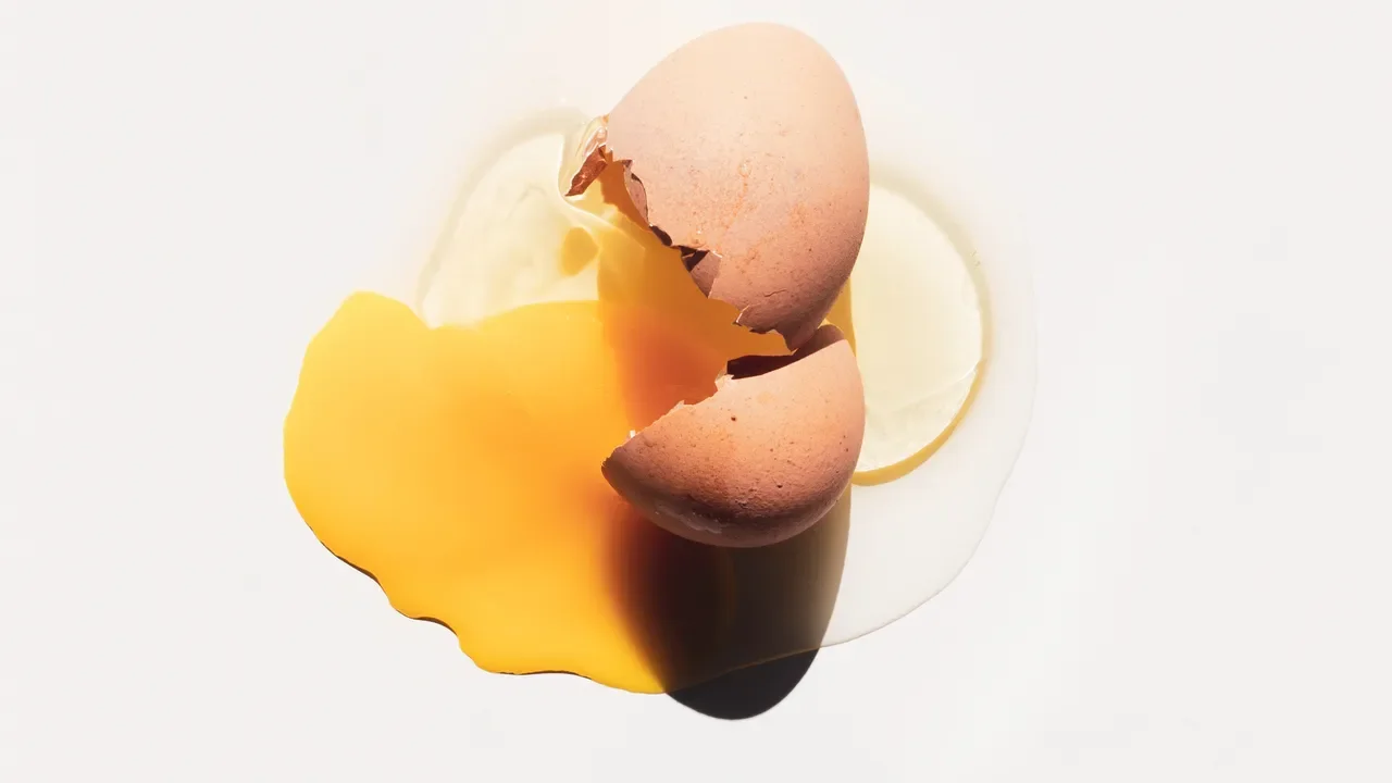 Beyond the Egg: 19 Protein-Packed Alternatives to Boost Your Diet