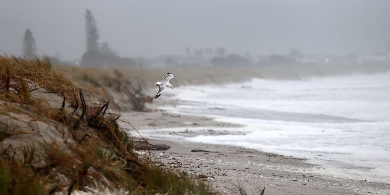 Mixed Reactions to October Jobs Report: Is it Doom and Gloom or Just Economic Ebb and Flow?