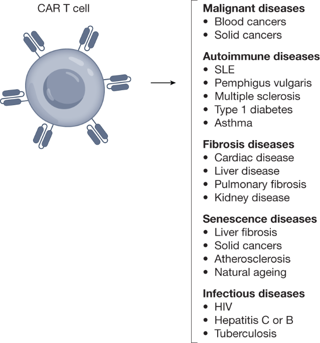 Expanding the Boundaries of CAR T Therapy: Unleashing the Potential of a Living Drug