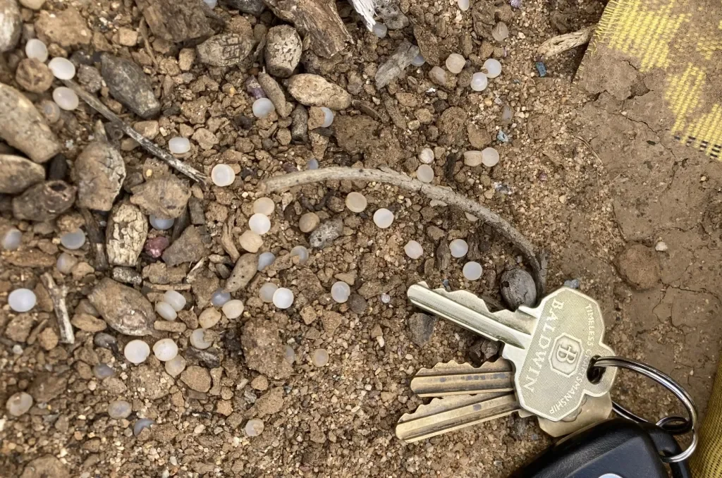 San Diego rail nurdle settlement tightens transport rules for plastic pellets