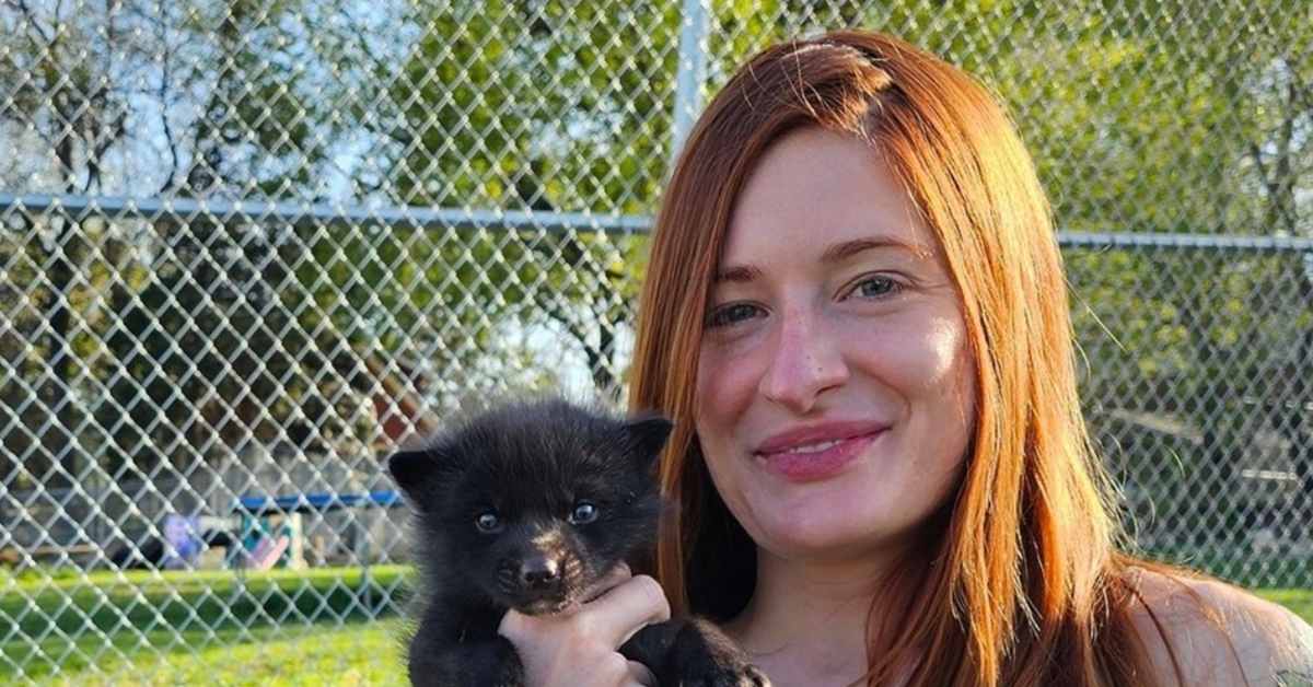 Featured image for Tragic Death of Minnesota Animal Rescuer Sparks Online Abuse Concerns