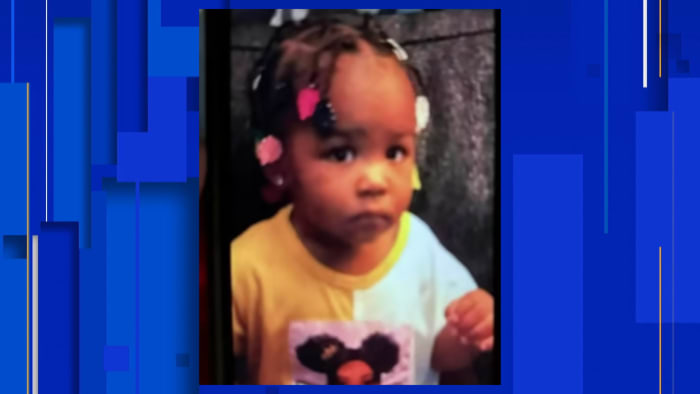 Search Continues for Missing Lansing Toddler as Kidnapper is Apprehended