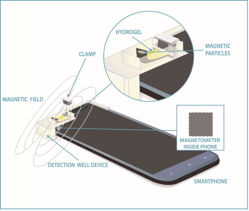 Featured image for "Cellphone Compass Measures Vital Health Compounds: NIST Study"