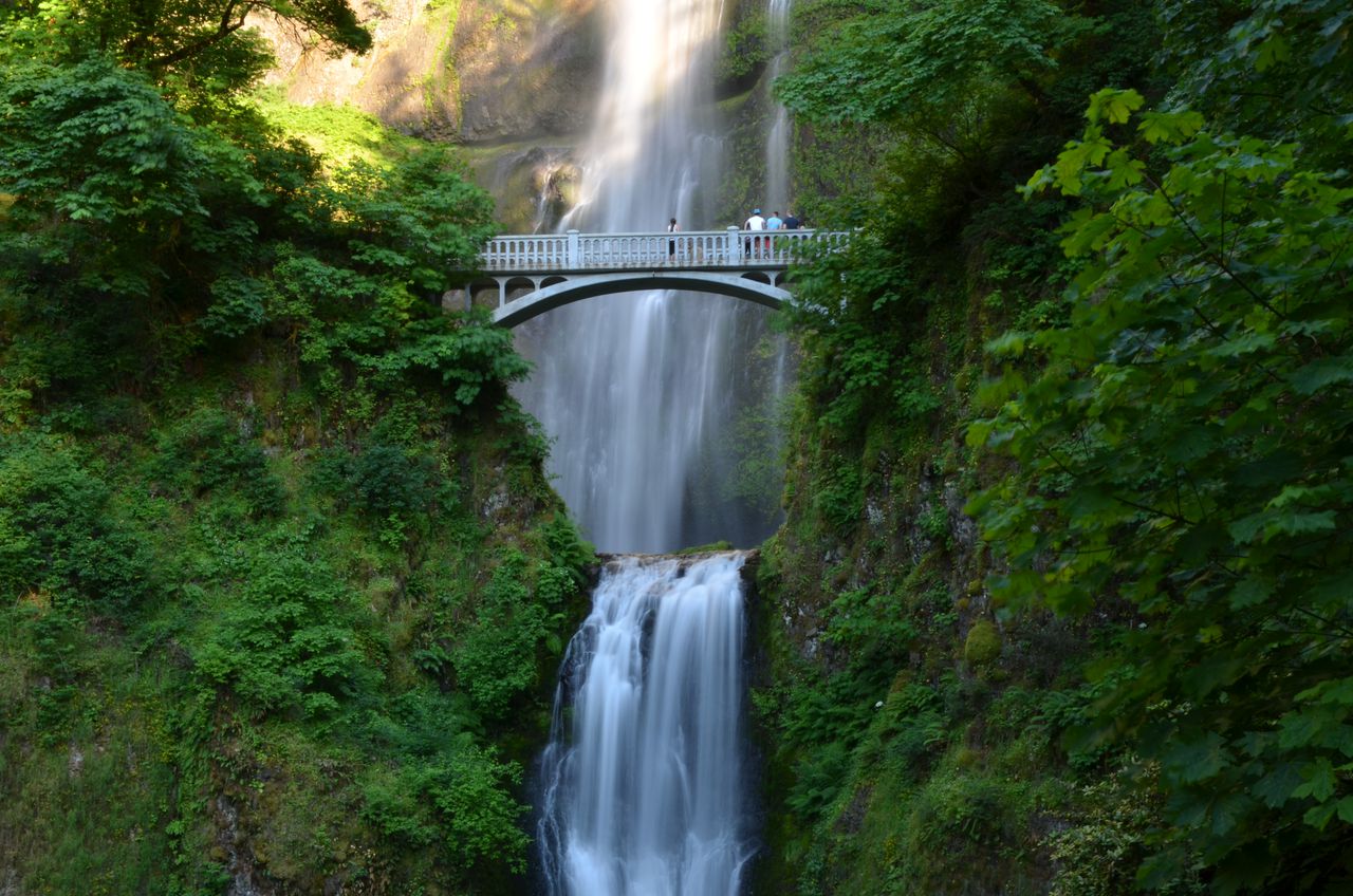 Tragic Fall Claims Father of 5 on Oregon Hiking Trail