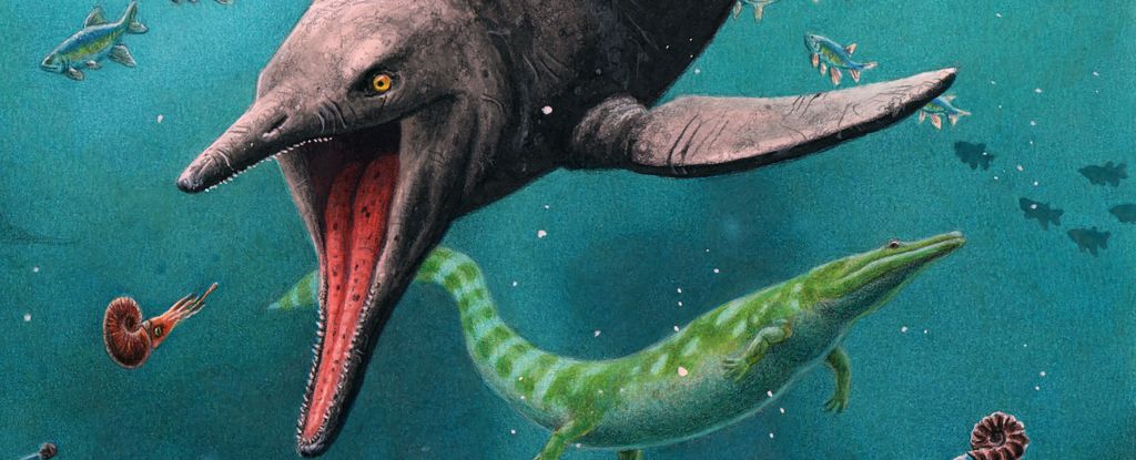Featured image for Ancient Sea Reptile Fossils Unearthed on Arctic and Norwegian Islands