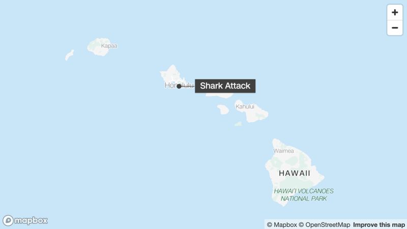 Shark Attacks Surfers in Hawaii