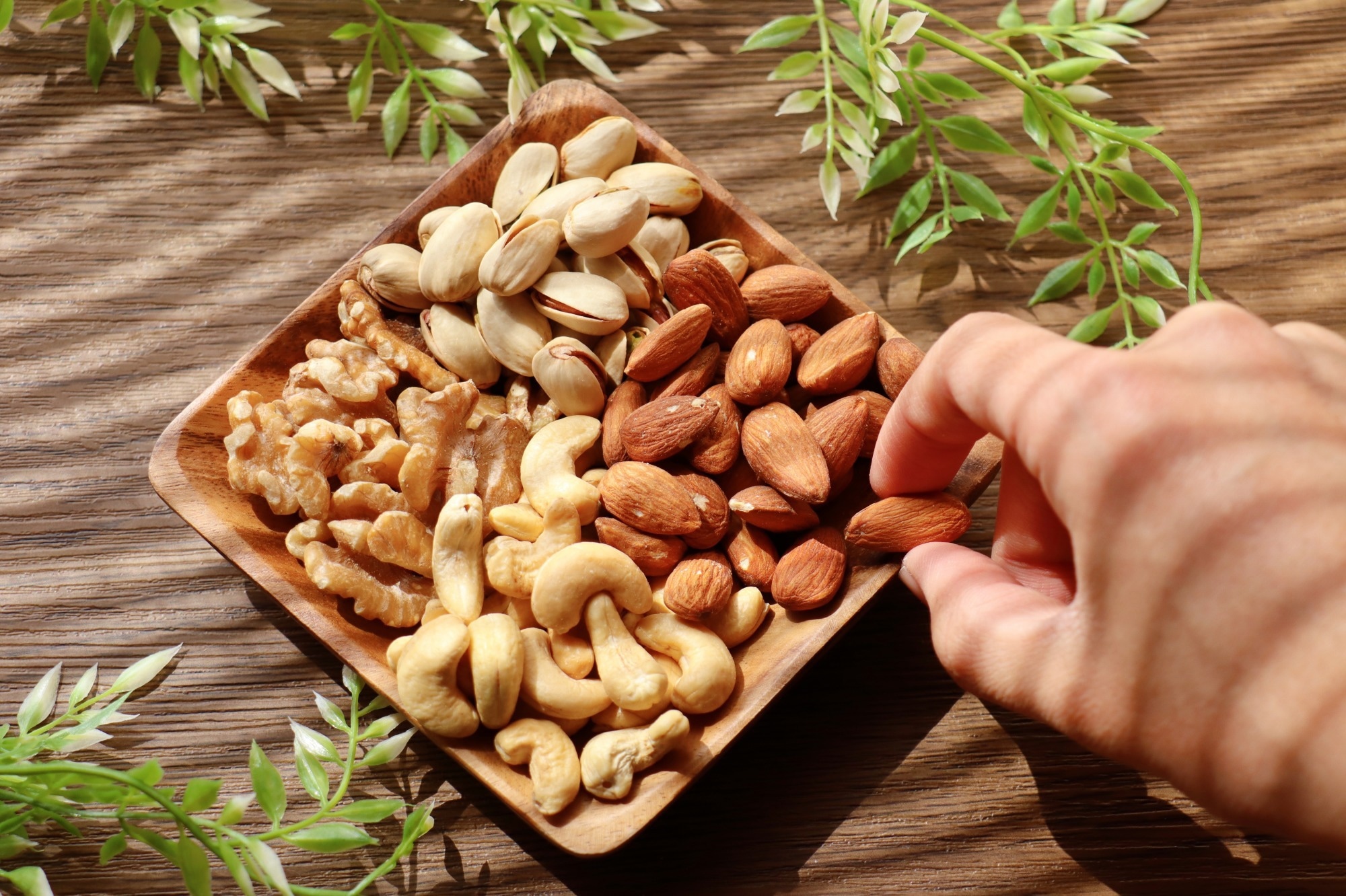 Featured image for Nut Consumption and Multivitamins Linked to Improved Memory and Brain Health in Seniors