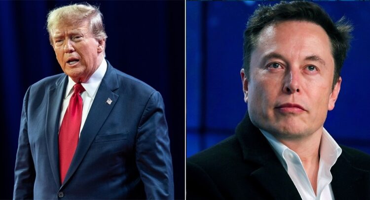 Elon Musk's Influence on Trump Sparks Market Moves and Political Ties