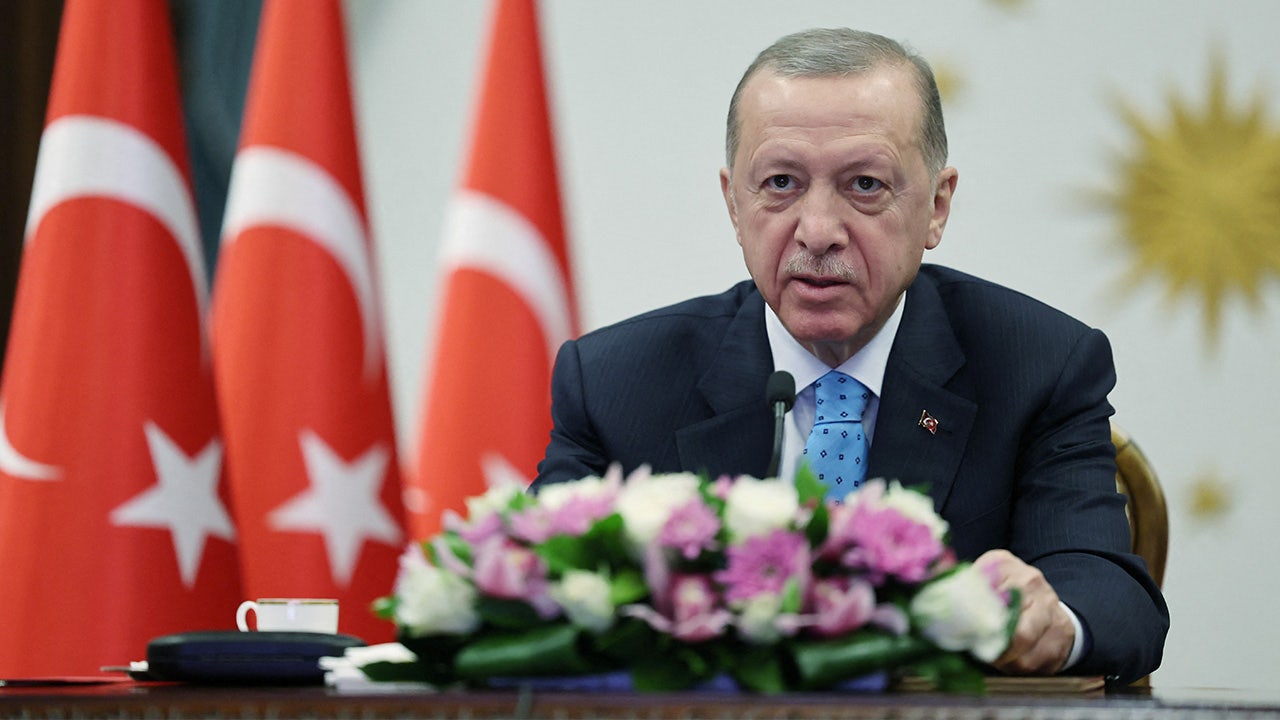 Illness forces Turkey's Erdogan to cancel election rallies and appearances.