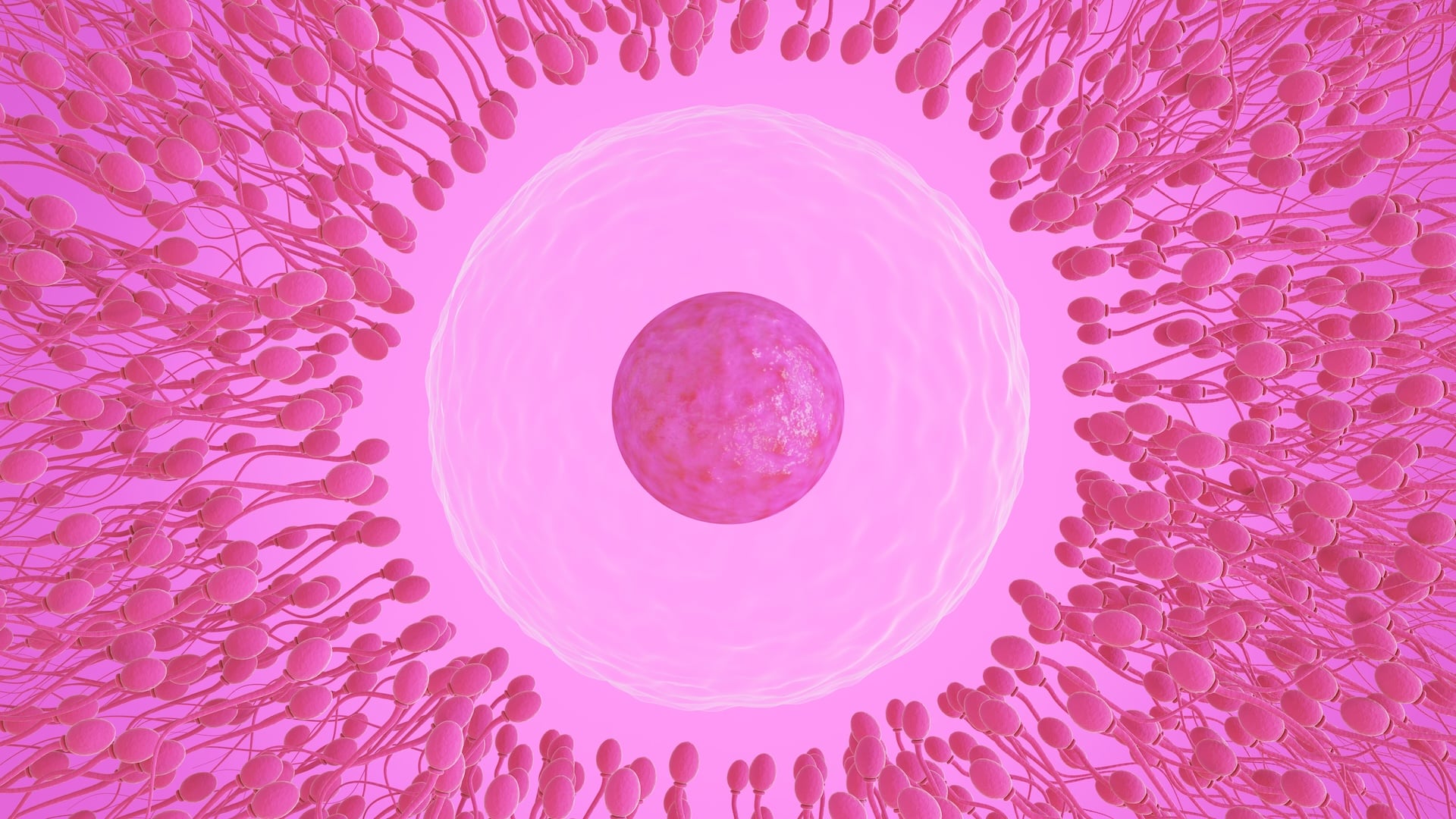 Featured image for Debunking the Myth of Racing Sperm in Fertility