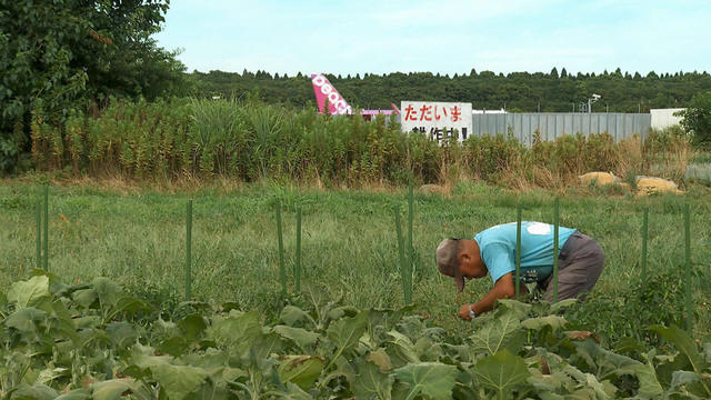 Featured image for "Japanese Farmer's Determination Defies Narita Airport's Expansion Plans"