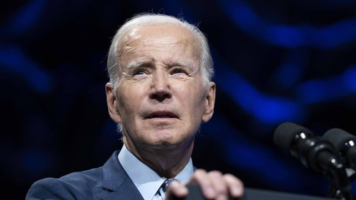 Joe Biden's Net Worth and Tesla Investment Returns Revealed