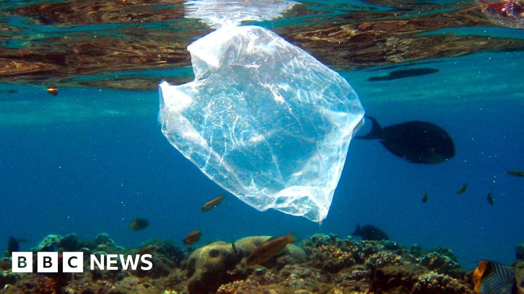 Featured image for Plastic Bag Bans and Fees Effectively Reduce Shoreline Litter