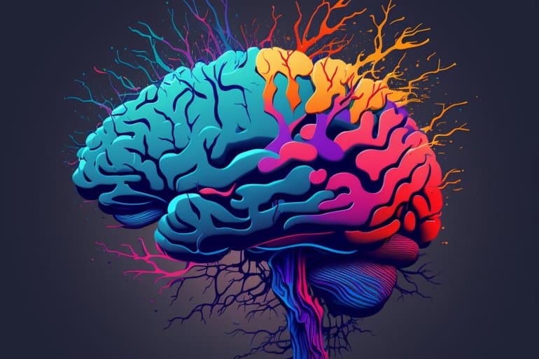 Human-like hippocampus improves self-driving navigation.