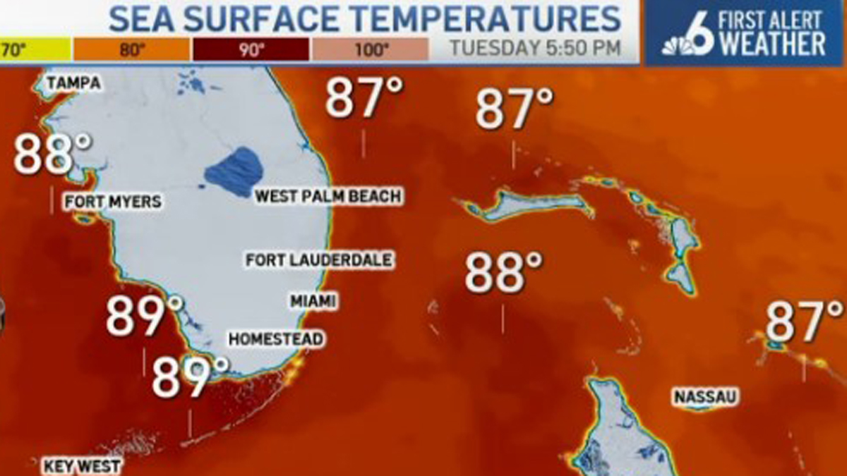 "John Morales discusses the far-reaching effects of historic heat on South Florida, including hurricane season and beyond"
