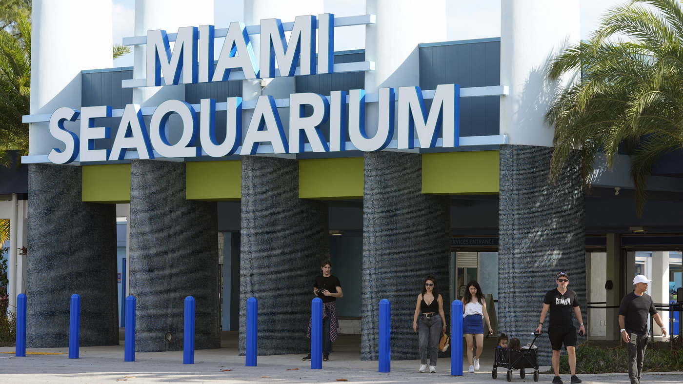 Featured image for Miami Seaquarium Ordered to Vacate Following Animal Care Concerns
