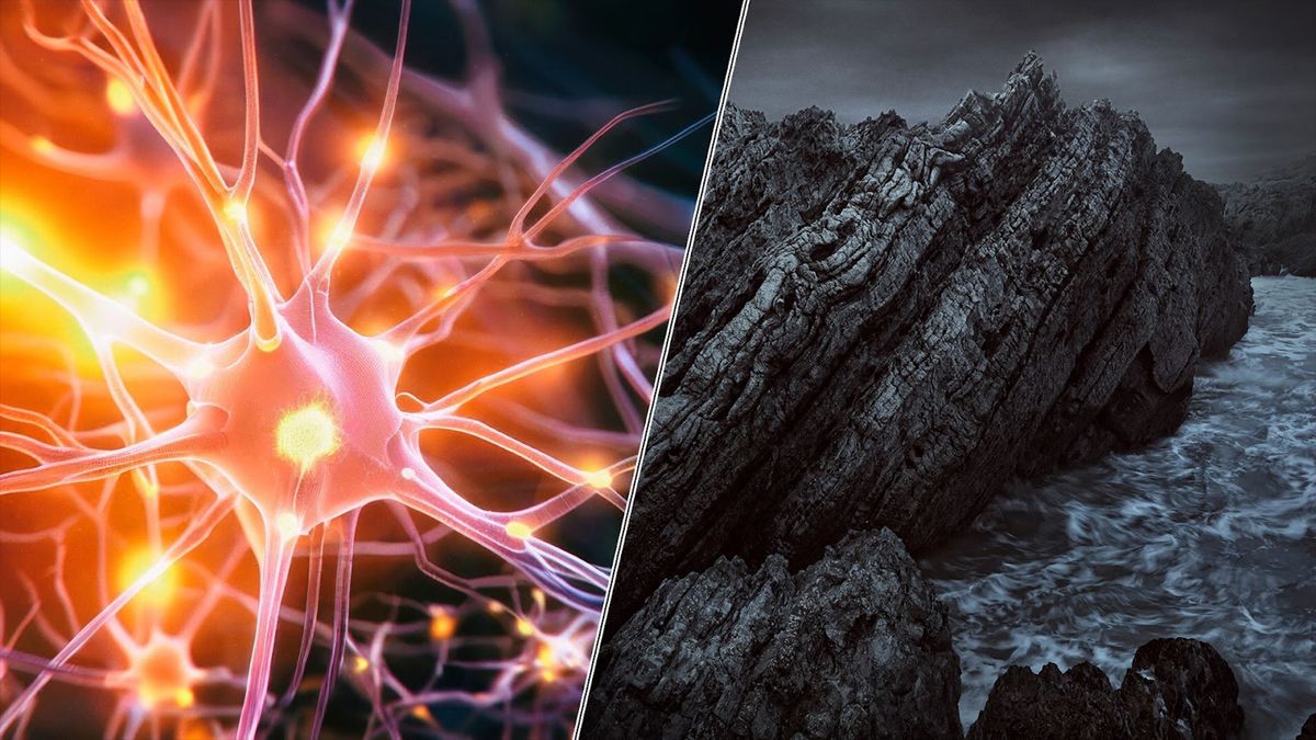 Featured image for "Unraveling the Intricacies of False Memories and the Mysteries of Swallowed Seas"