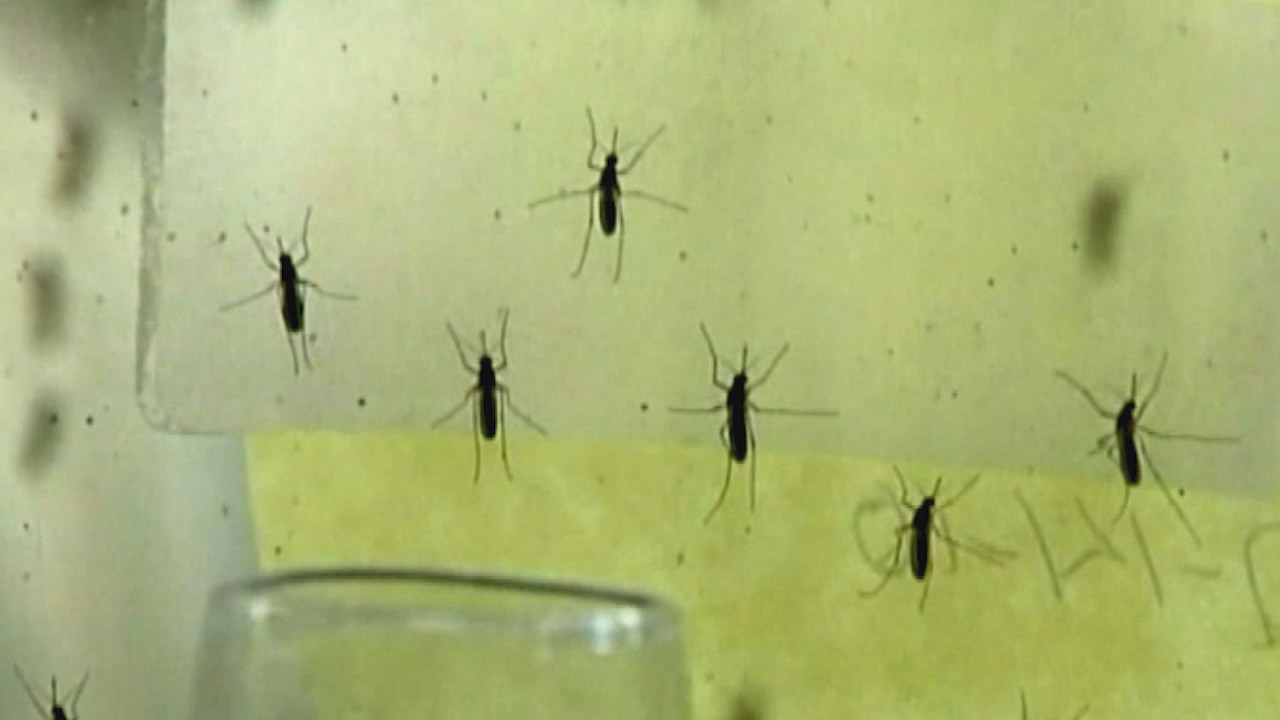 Featured image for Outbreak: Michigan Horses Infected with EEE and West Nile Virus