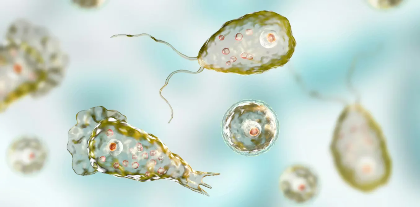 Urgent Action Urged on Brain-Eating Amoebas as Warming Waters Expand Risk
