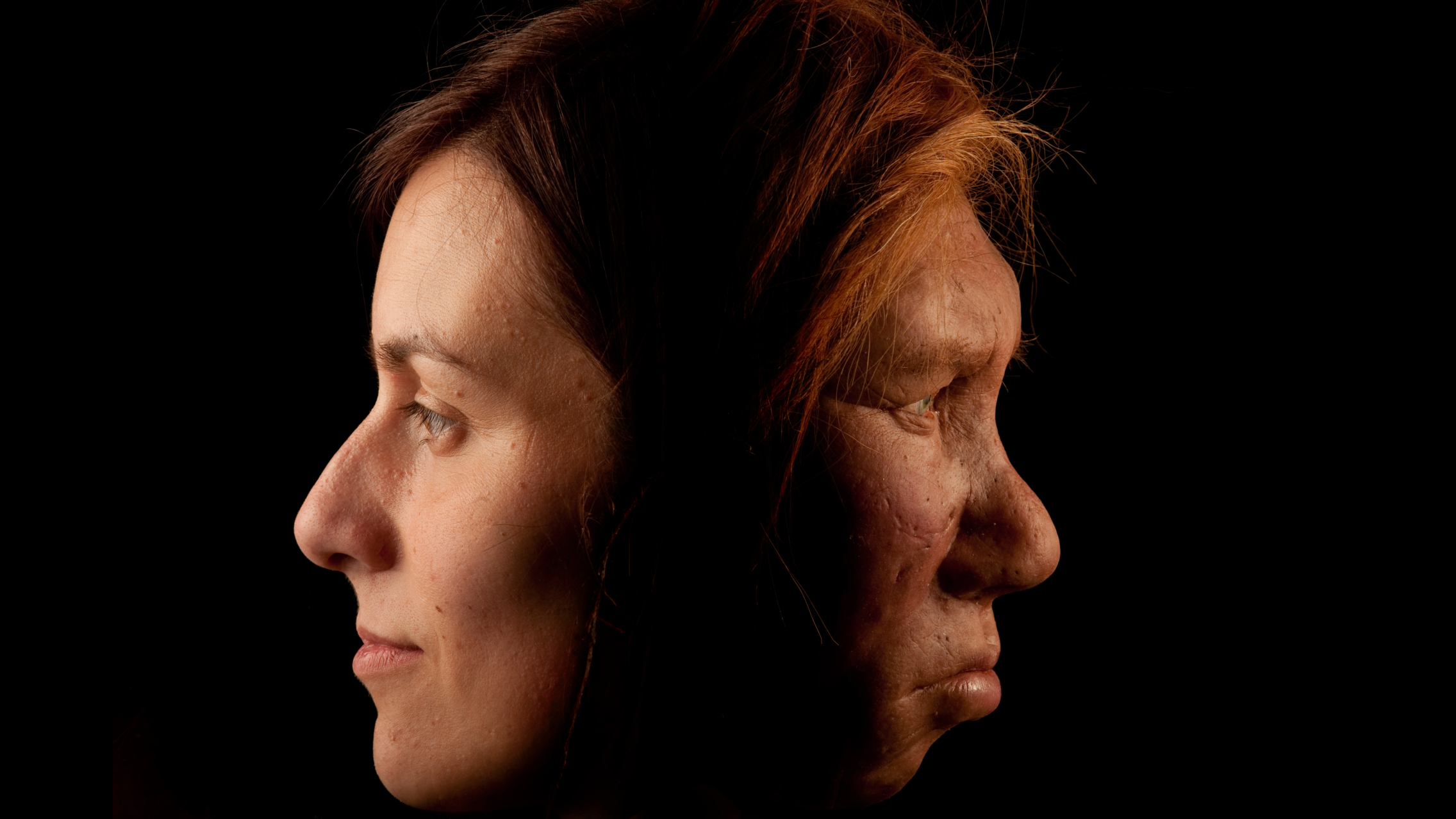 Featured image for Genetic Factors Likely Accelerated Neanderthal Extinction
