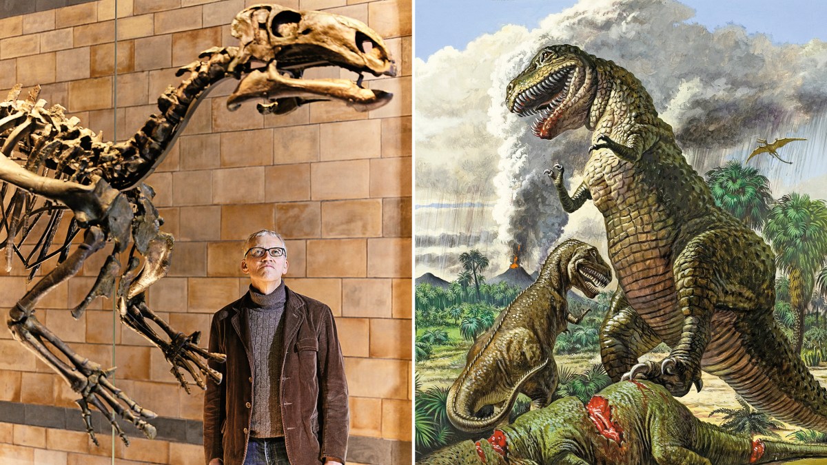 Featured image for Uncovering the Misconceptions of Dinosaur-Hunters