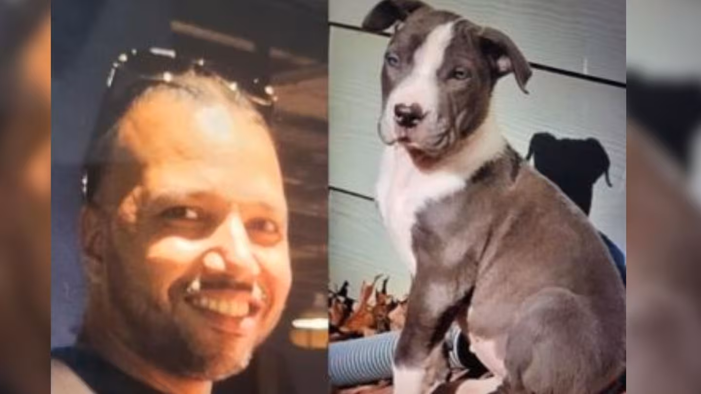 "Series of Violent Crimes Rock Atlanta: Man Killed, Dog Stolen in Downtown Attack"
