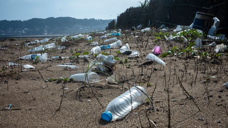 The Booming Plastic Water Bottle Industry Poses a Huge Problem.