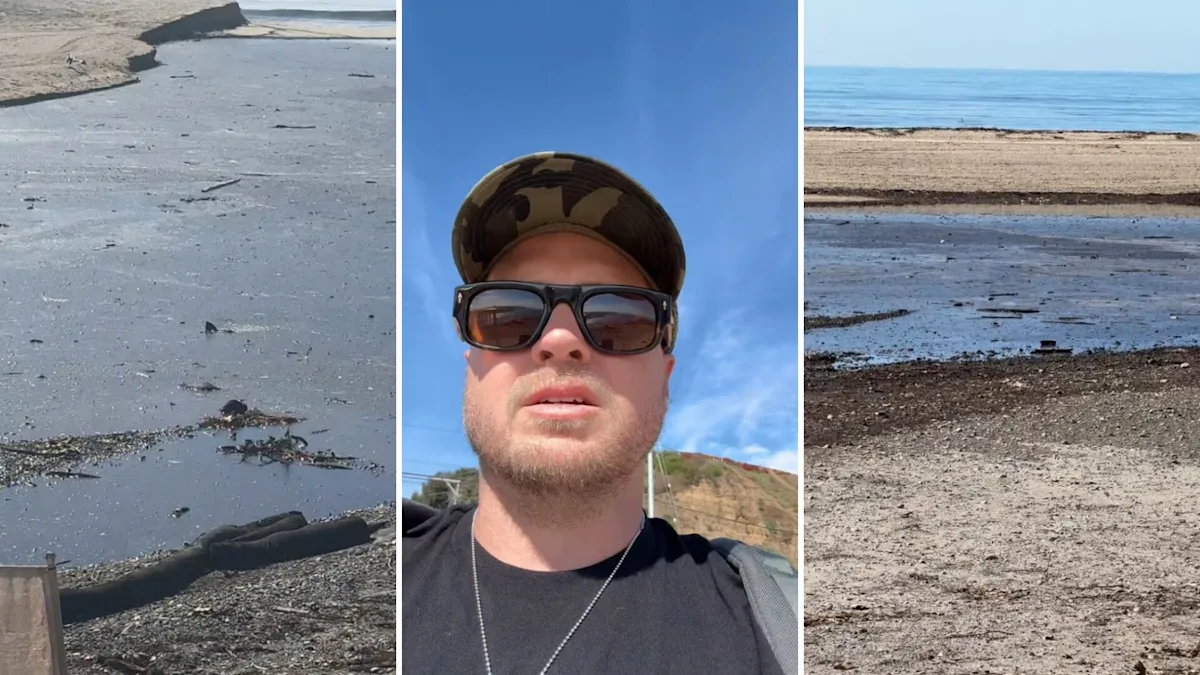 Featured image for Reality TV Star Faces Backlash Over Beach Incident Video