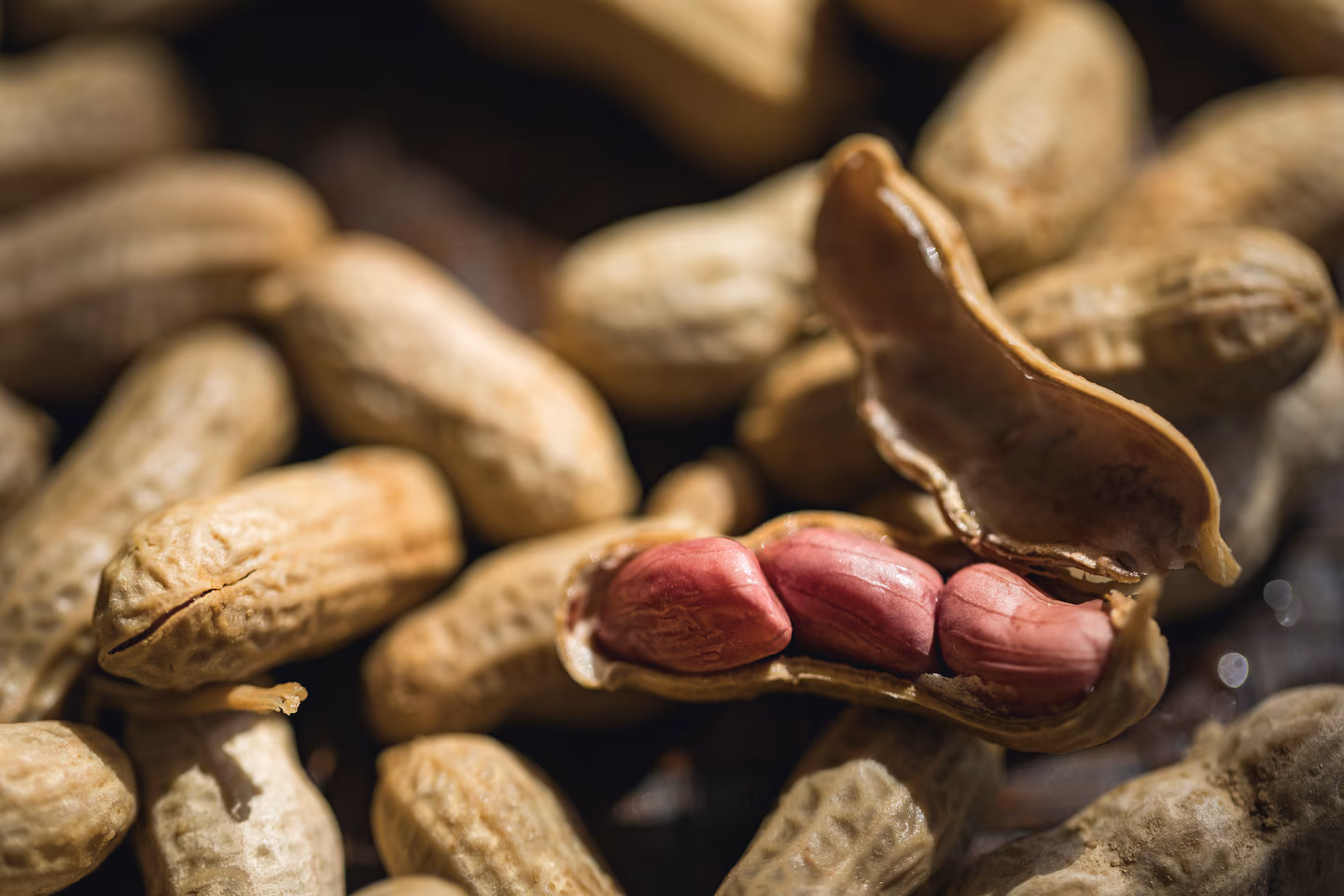 'Peanut patch' shows promise in treating toddler peanut allergies.