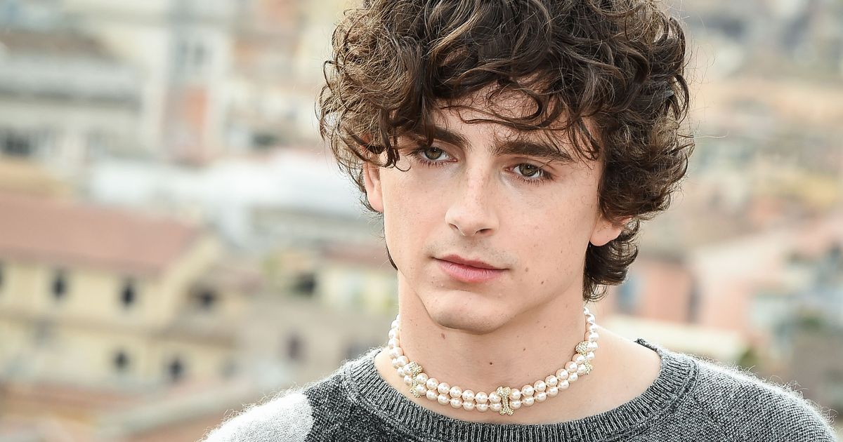 Timothée Chalamet to Sing as Bob Dylan in Biopic, Director Confirms