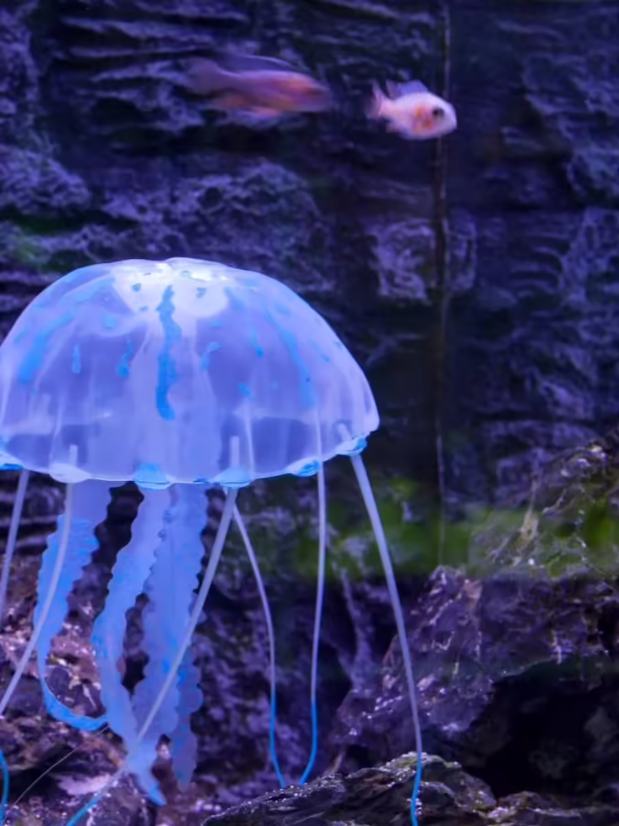 Featured image for Top 10 Oxygen-Independent Animals