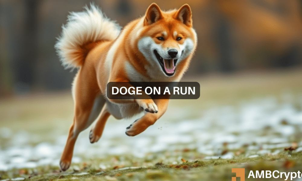 Dogecoin Eyes Major Surge Amid Bitcoin Rally and Market Optimism