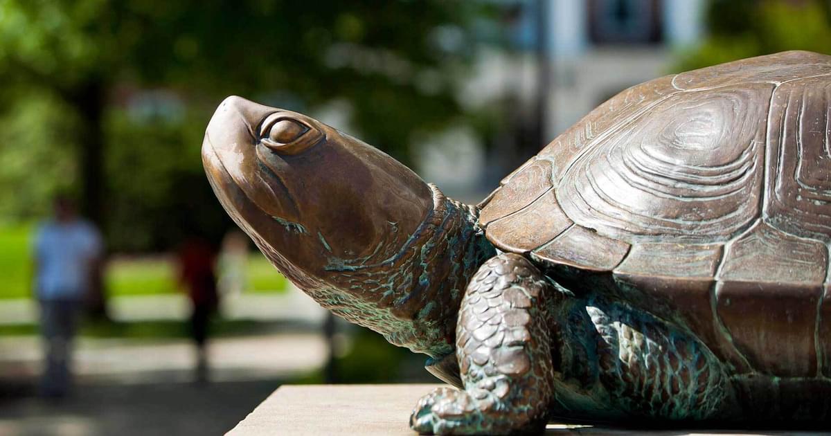 Featured image for Thanksgiving Week Schedule Altered: Monday Classes...