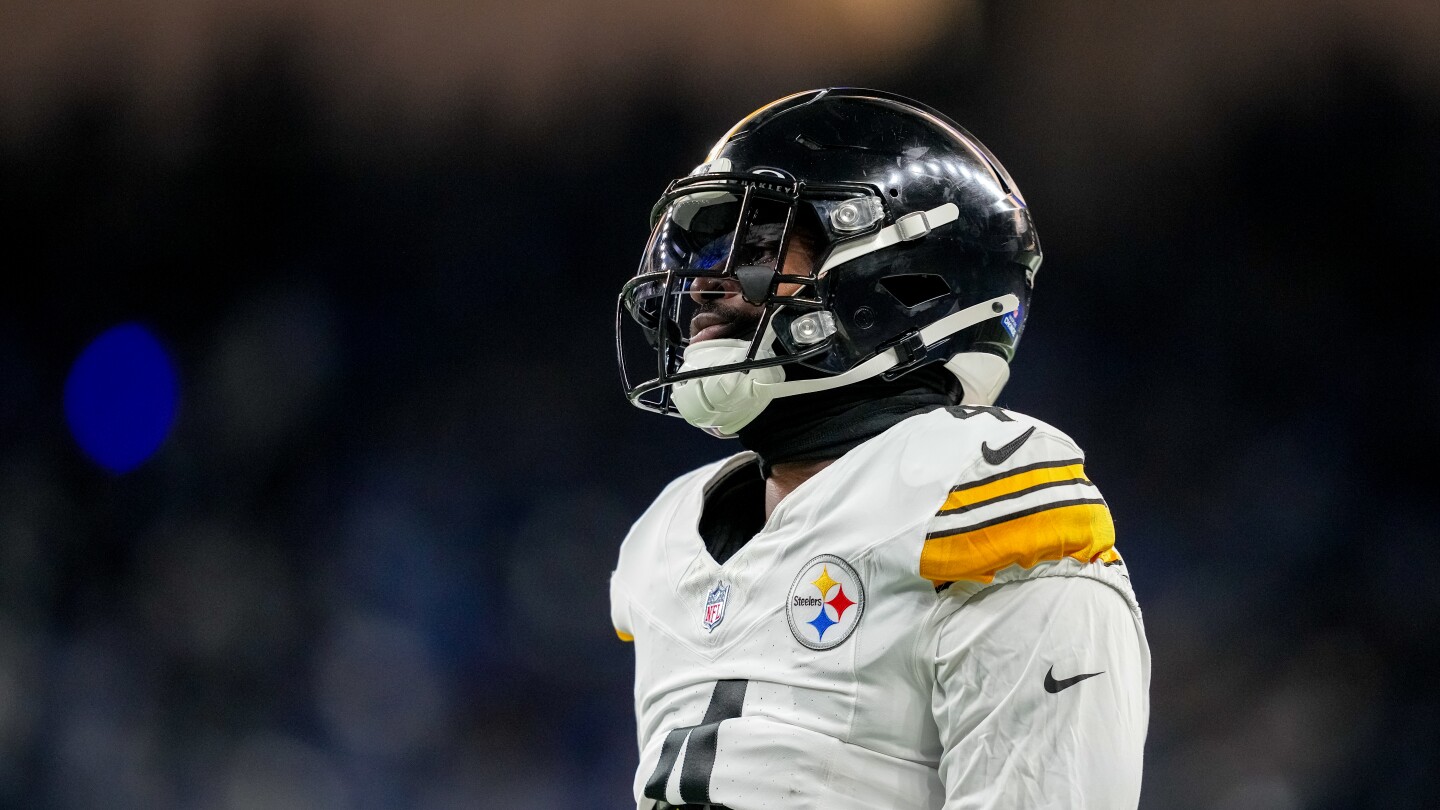 Featured image for NFL suspends Steelers' DK Metcalf for two games over fan altercation