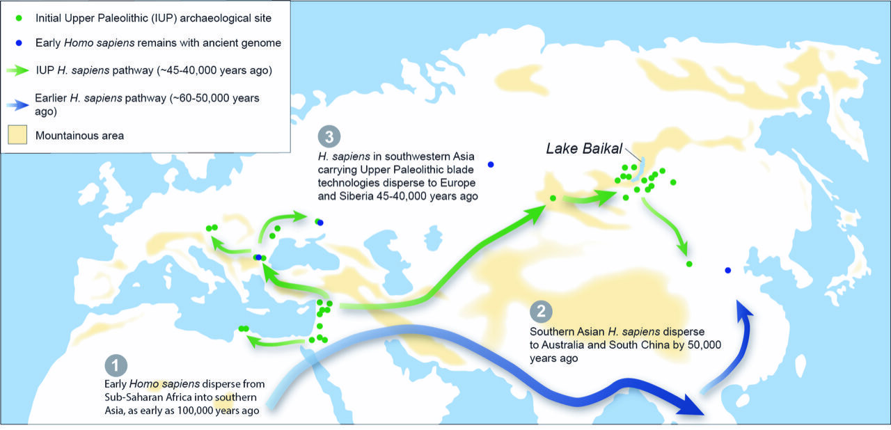 Featured image for Pollen analysis reveals Pleistocene warming's role in human dispersal