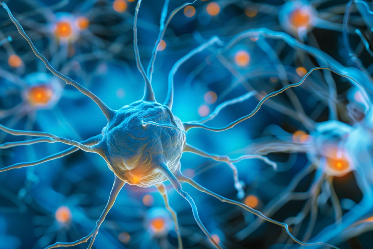 New Insights and Drug Targets Unveiled in ALS Research