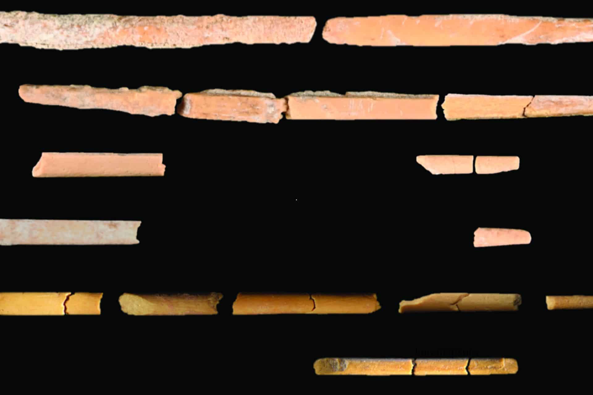 Featured image for Ancient Bone Needles Reveal Ice Age Survival Tactics in Wyoming