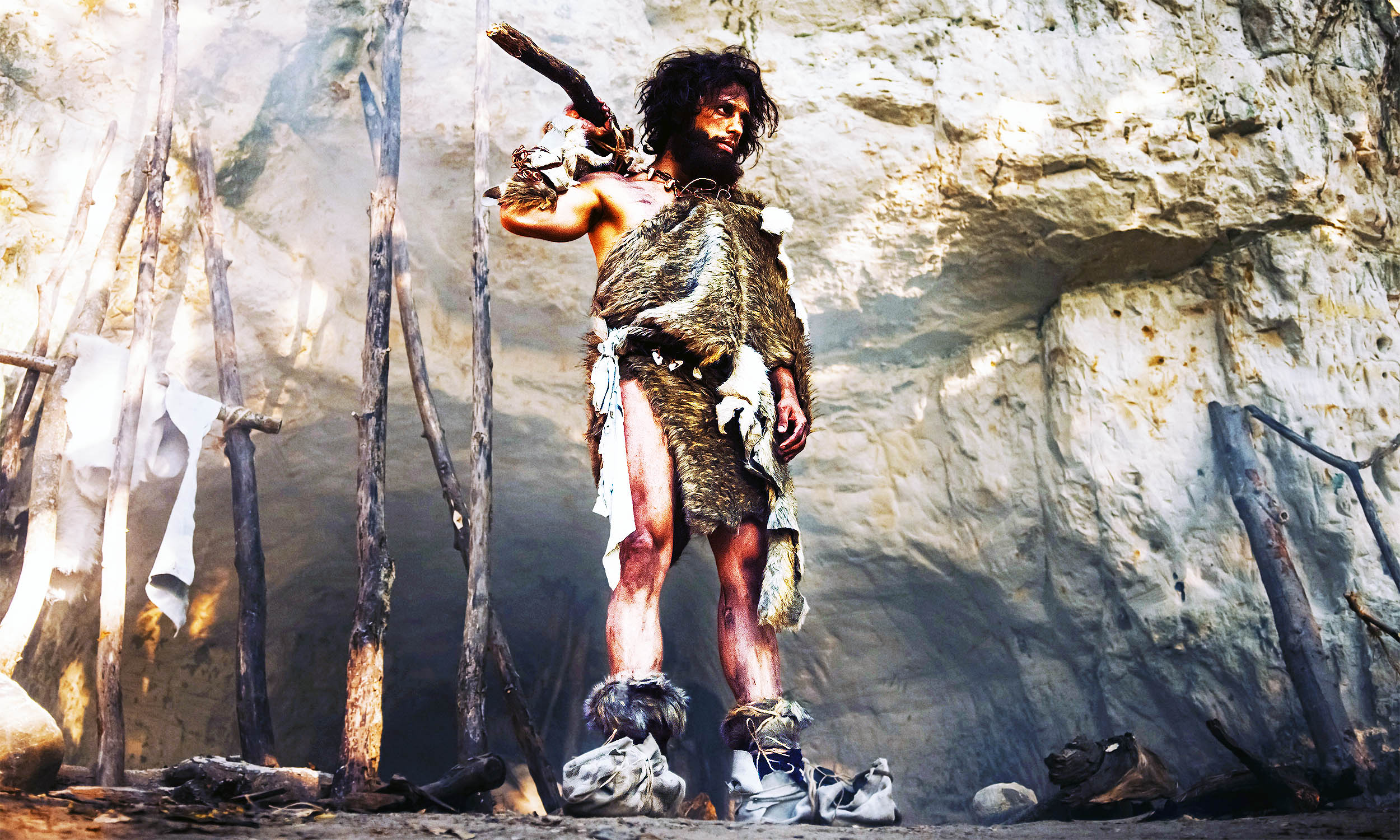 Featured image for Tracing the Origins of Clothing Through Lice Evolution