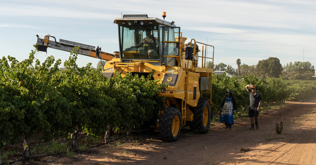 "China Ends Tariffs on Australian Wine, Signaling Improved Relations"