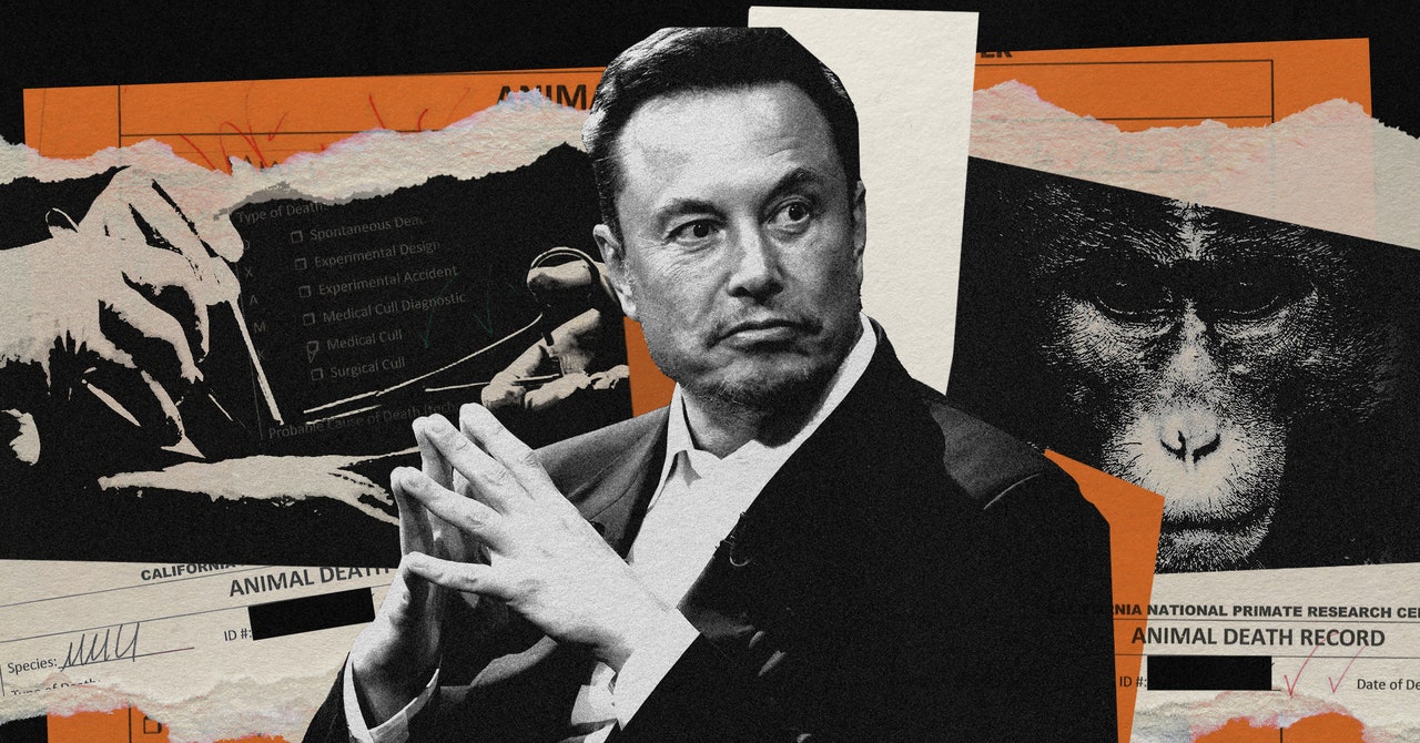 Featured image for "Controversy Surrounding Neuralink's Monkey Experimentation"