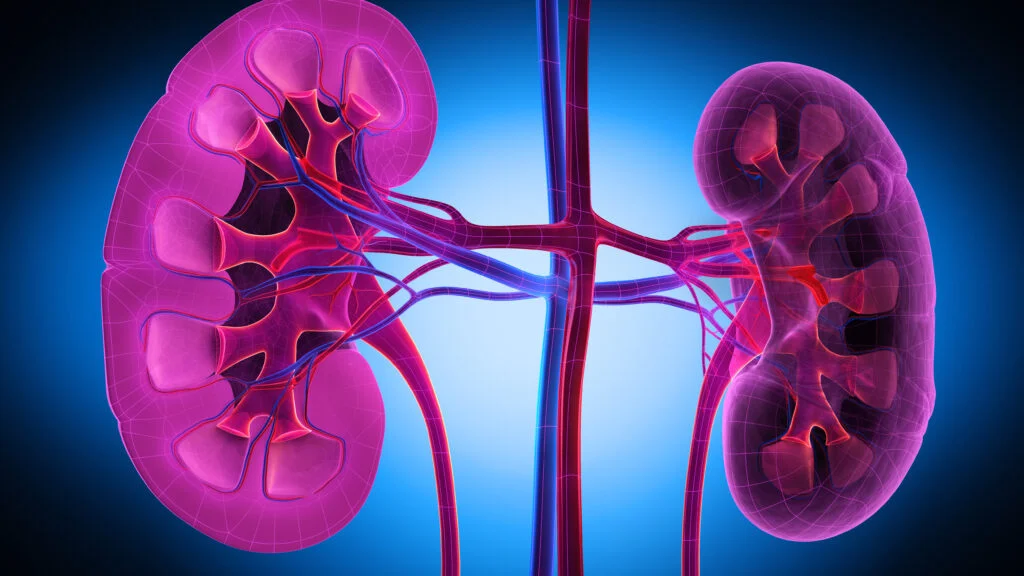 Vertex’s IgA nephropathy drug halves a key kidney biomarker in Phase 3