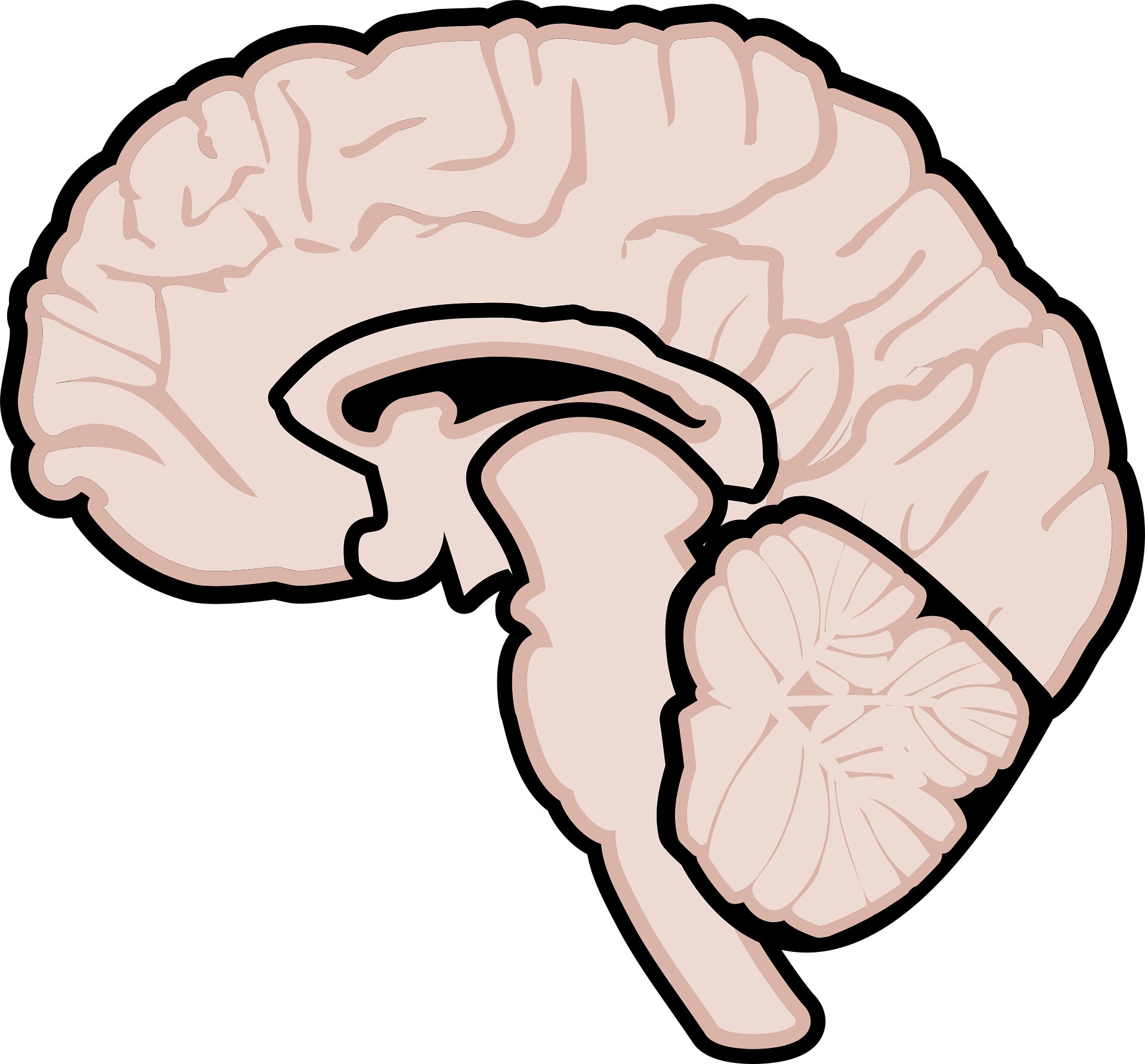 Featured image for New Evidence Shows Medication Can Reverse Multiple Sclerosis.