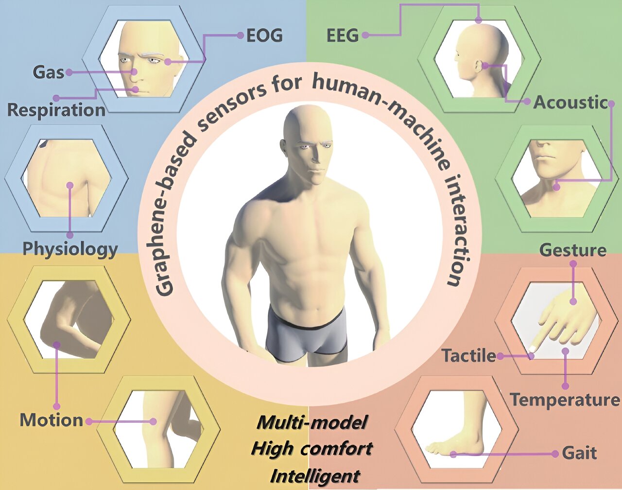 "Revolutionizing Human-Machine Interaction with Carbon-based Sensors"