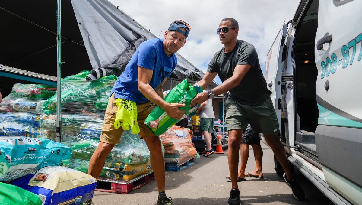 Maui residents lose trust in government as wildfire relief efforts falter